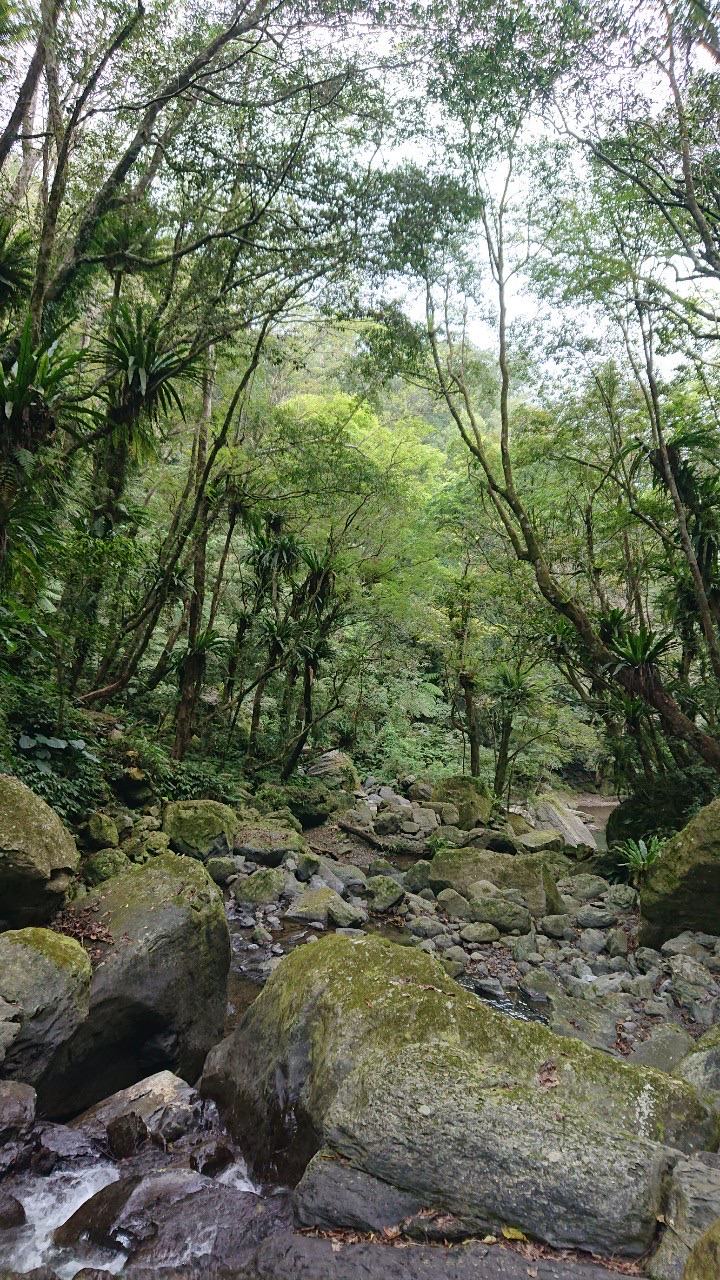 三峽最適合放空的祕境 - 第4張圖