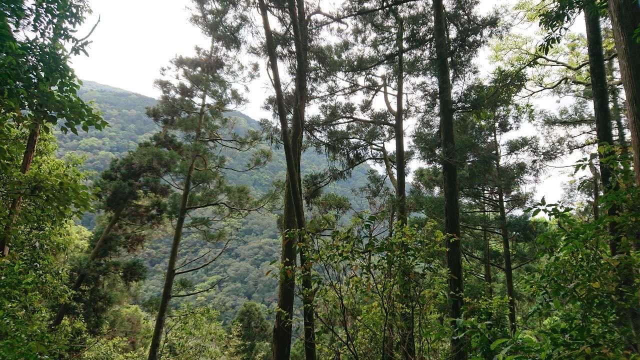 三峽最適合放空的祕境 - 第7張圖